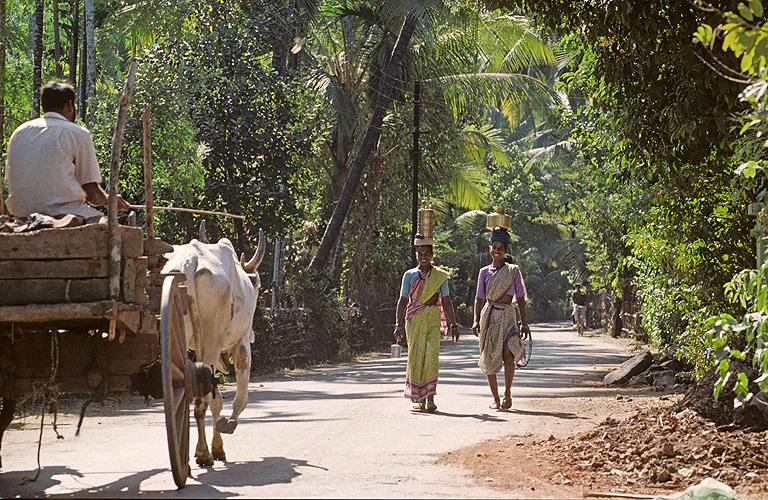 K�stenstra�e nahe Revdanda s�dlich von Mumbai - Goa 08