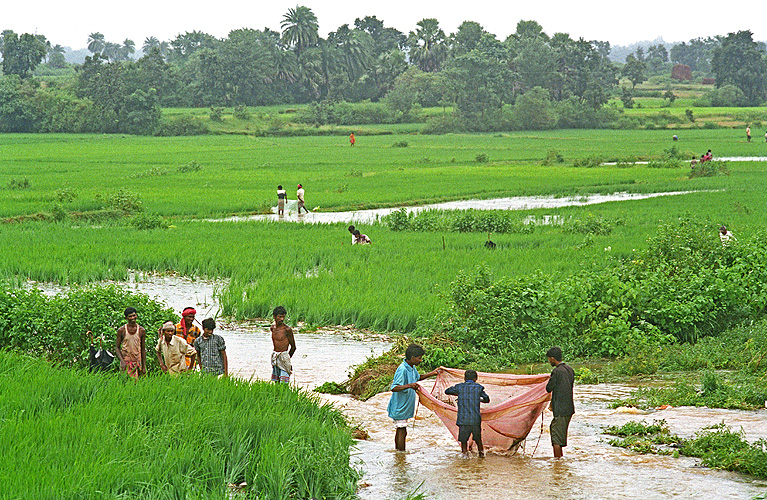 Mit bunten T�chern auf Fischfang, Jharkhand - Monsun 08