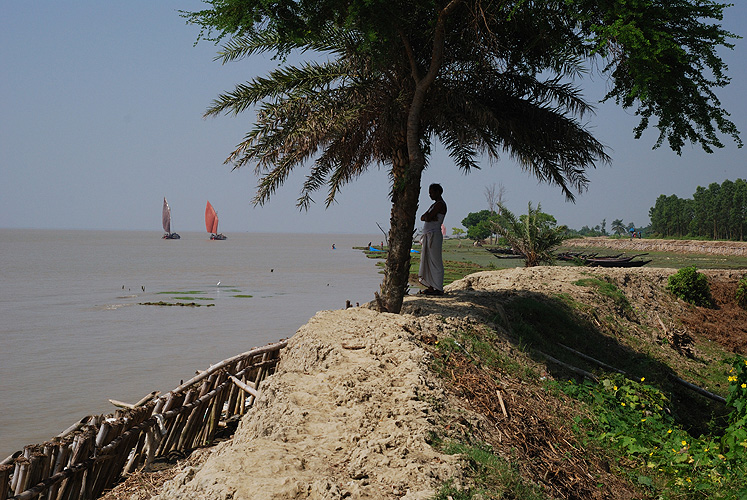 Deiche sch�tzen D�rfer vor �berflutung - Sunderbans 02