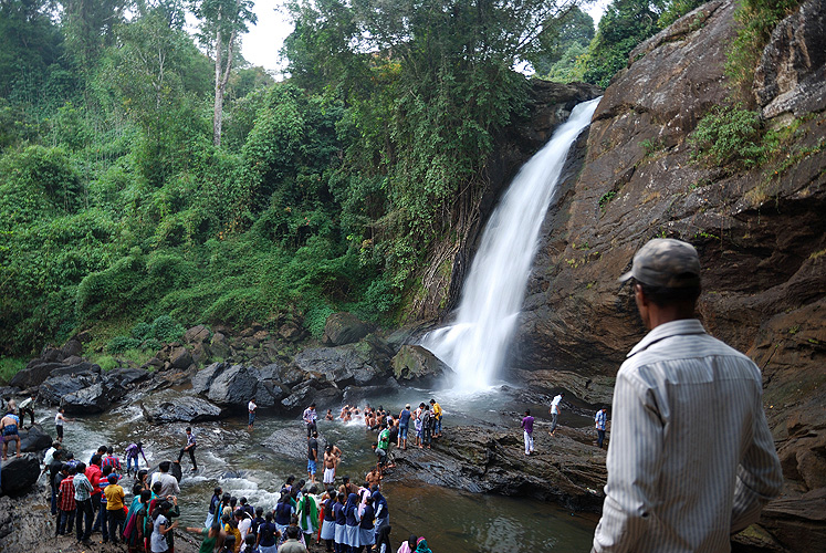 Wasserfall in Wayanad, Kerala - Western Ghats 21