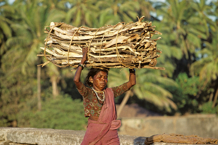 Die Aller�rmsten schlagen Holz und tragen es zum Markt