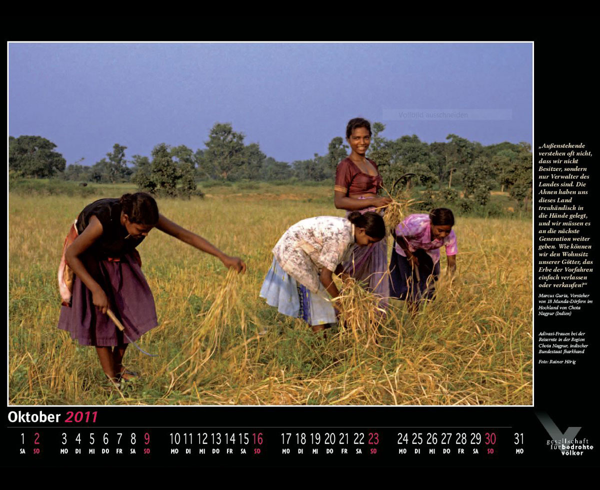 Gesellschaft f�r bedrohte V�lker, 2011