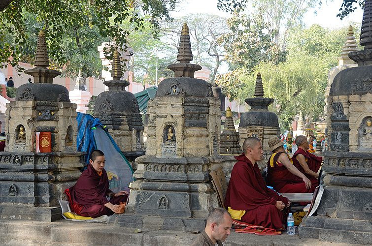 M�nche und Nonnen beten am Bodhi-Baum, Bodh Gaya