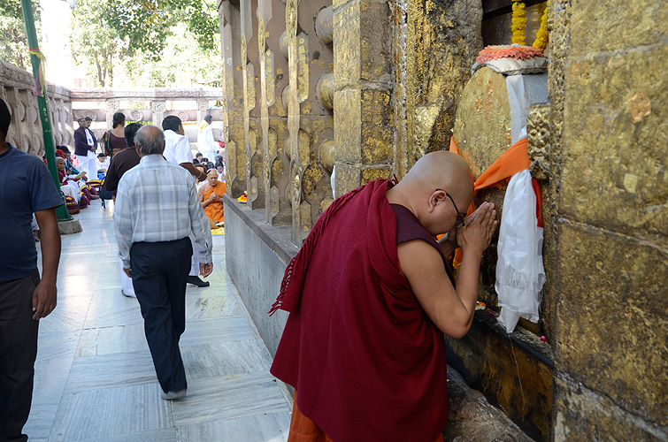 Ein M�nch verehrt den Bodhi-Baum, Bodh Gaya
