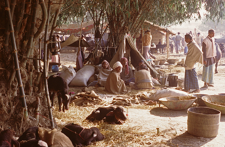 L�ndliche Szenerie am Rande des Viehmarkts - Sonepur Mela 06