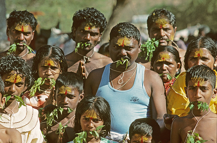 Pilger mit Bl�ttern des Niem-Baumes beim Gebet - Yellamma Mela 09