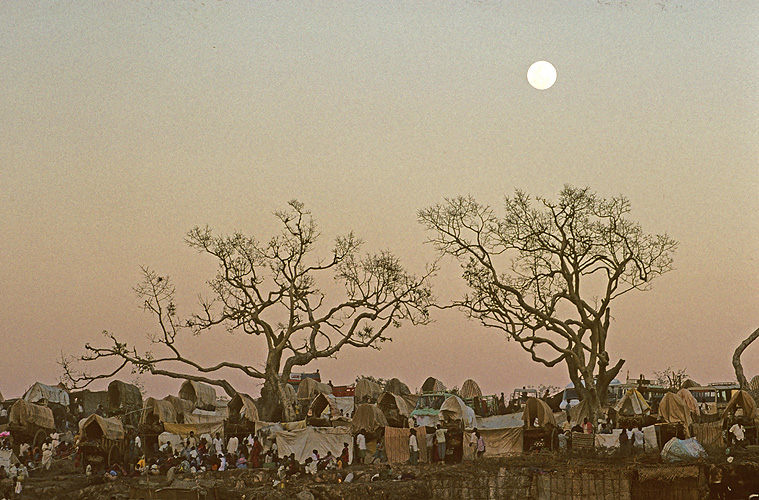 Vollmond �ber dem Pilgerlager  - Yellamma Mela 16