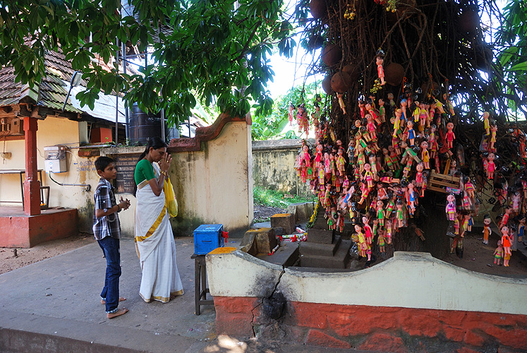 Ein heiliger Baum, der Kinderw�nsche erf�llt, Kerala